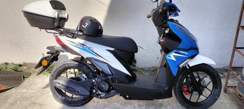 Daytona 110